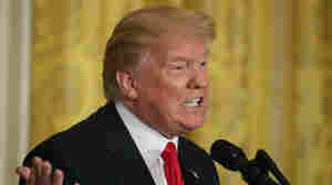 'Rapists,' 'Huts': Trump's Racist Dog Whistles Aren't New