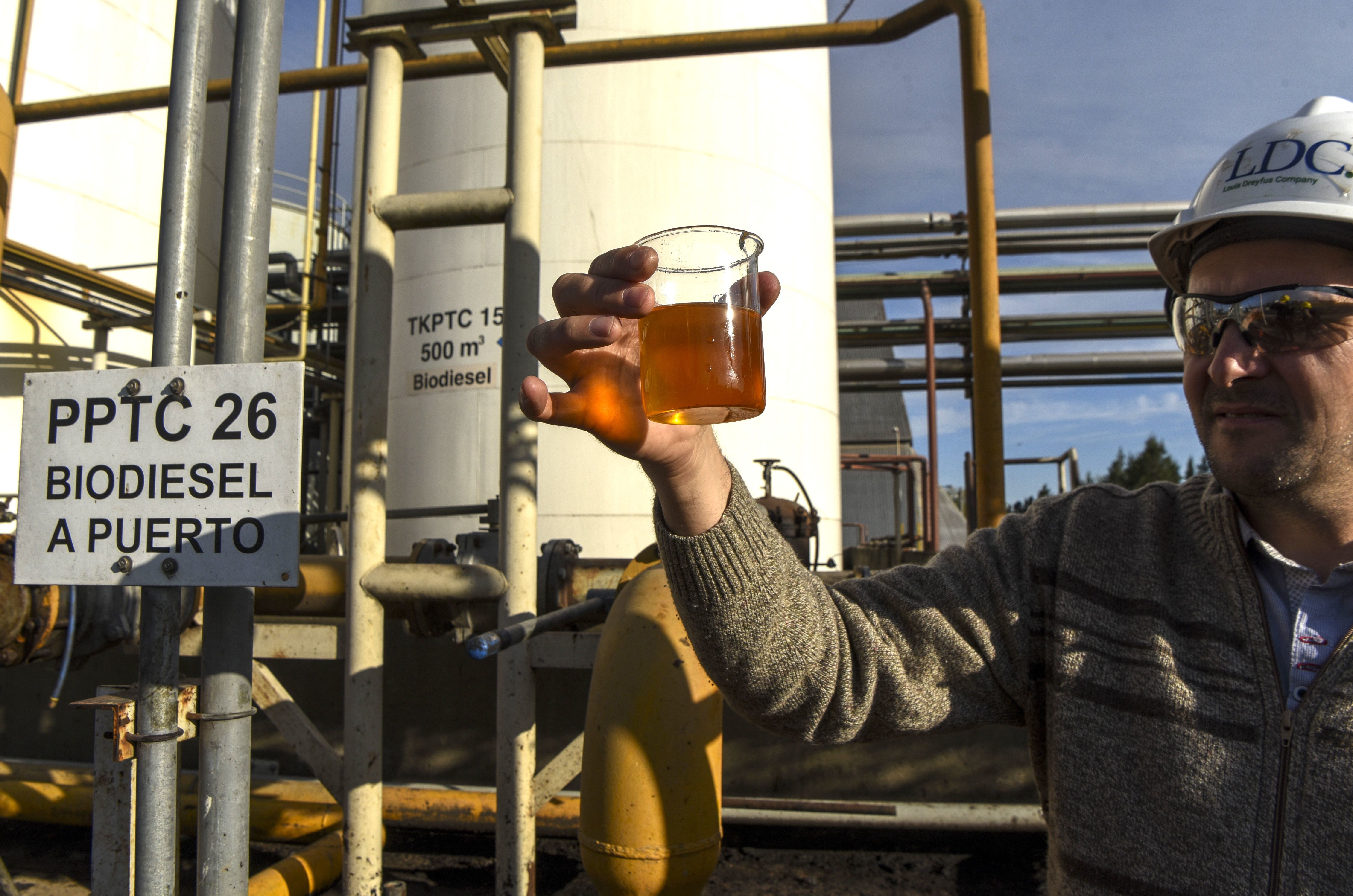 Turning Soybeans Into Diesel Fuel Is Costing Us Billions : The Salt : NPR