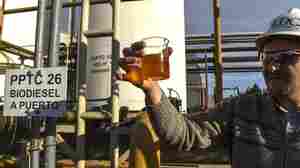 Turning Soybeans Into Diesel Fuel Is Costing Us Billions