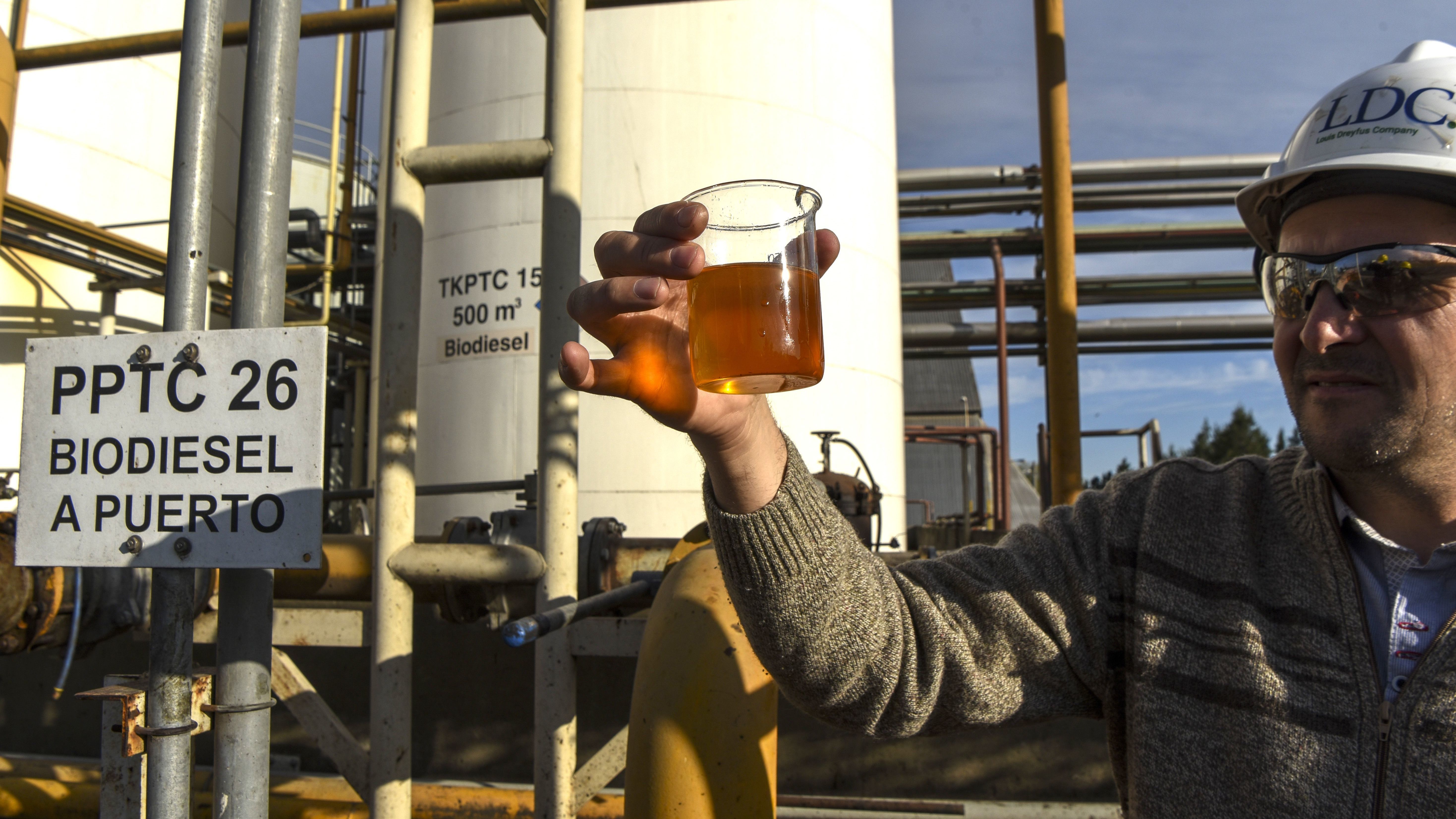 Turning Soybeans Into Diesel Fuel Is Costing Us Billions The Salt NPR