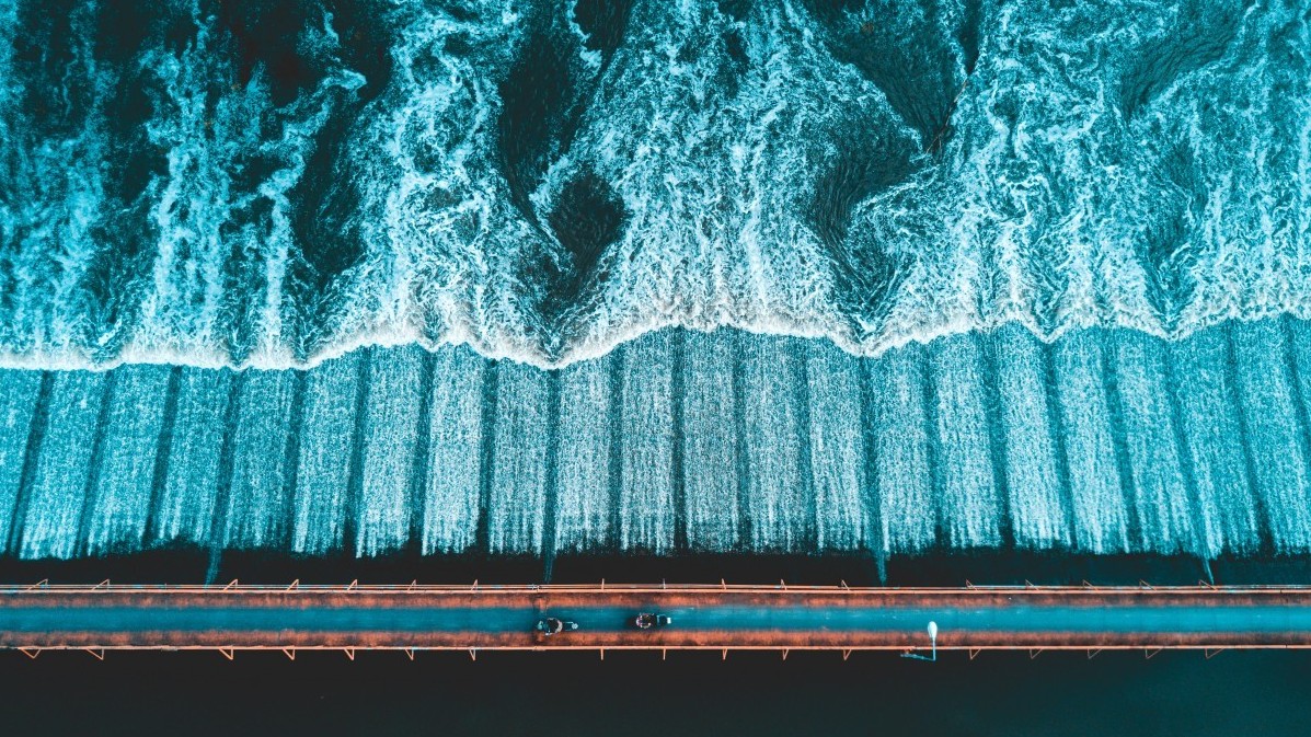 A Drone's Eye View Of The World: Hippos, Palm Trees, Motor Scooters