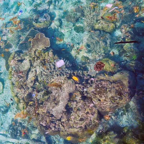 A survey of 150 reefs found plastic was a common pollutant.