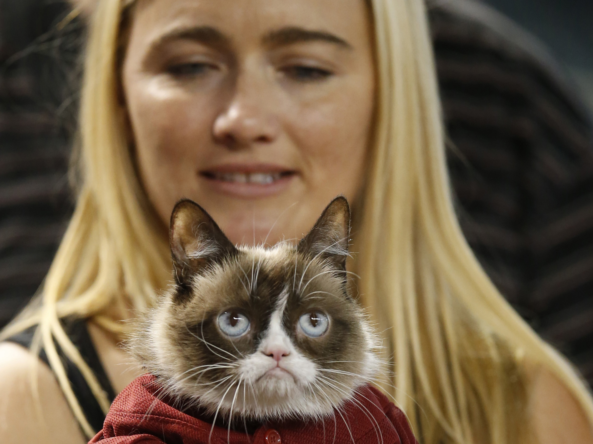 Grumpy Cat Awarded $710,000 In Copyright Infringement Suit | NCPR News