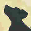 Why Dogs Have Floppy Ears: An Animated Tale