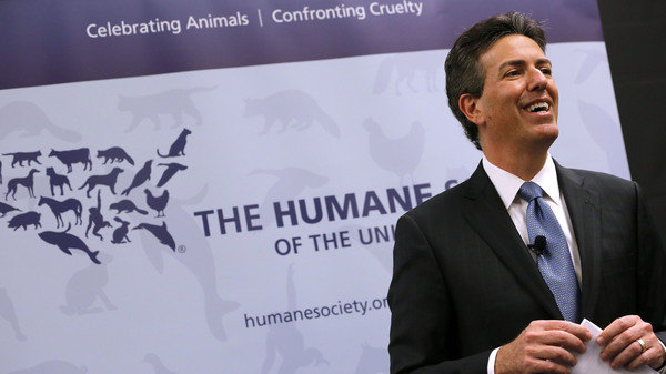 Wayne Pacelle, former CEO of the Humane Society of the United States, at a 2015 news conference. Pacelle resigned Friday.
