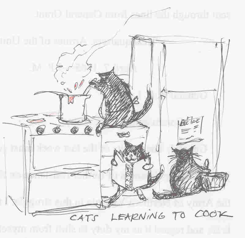 in catnip love and loss sketched out in cat cartoons npr