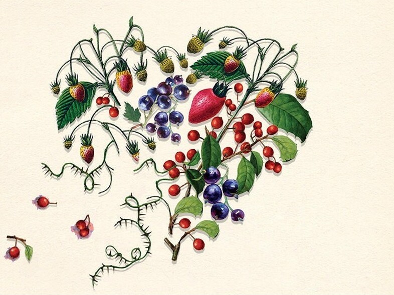 'Heart Berries,' by Terese Marie Mailhot (Counterpoint)
