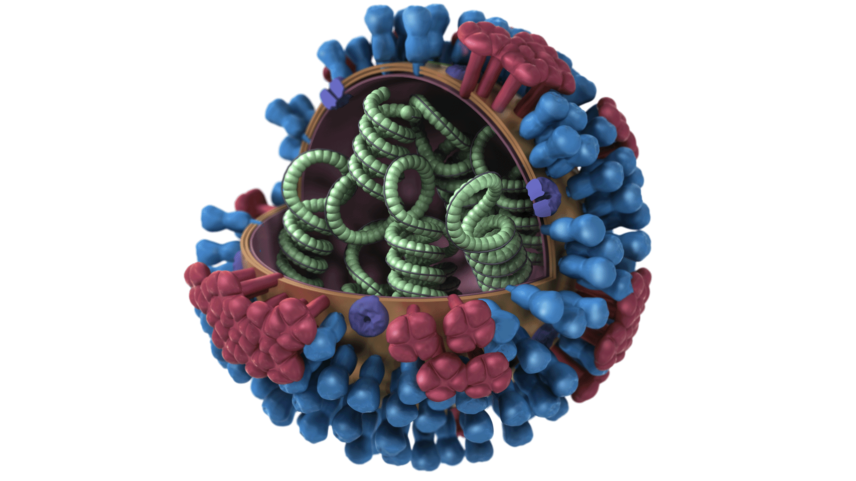 H7N4 Bird Flu Infects Chinese Woman : Shots - Health News : NPR