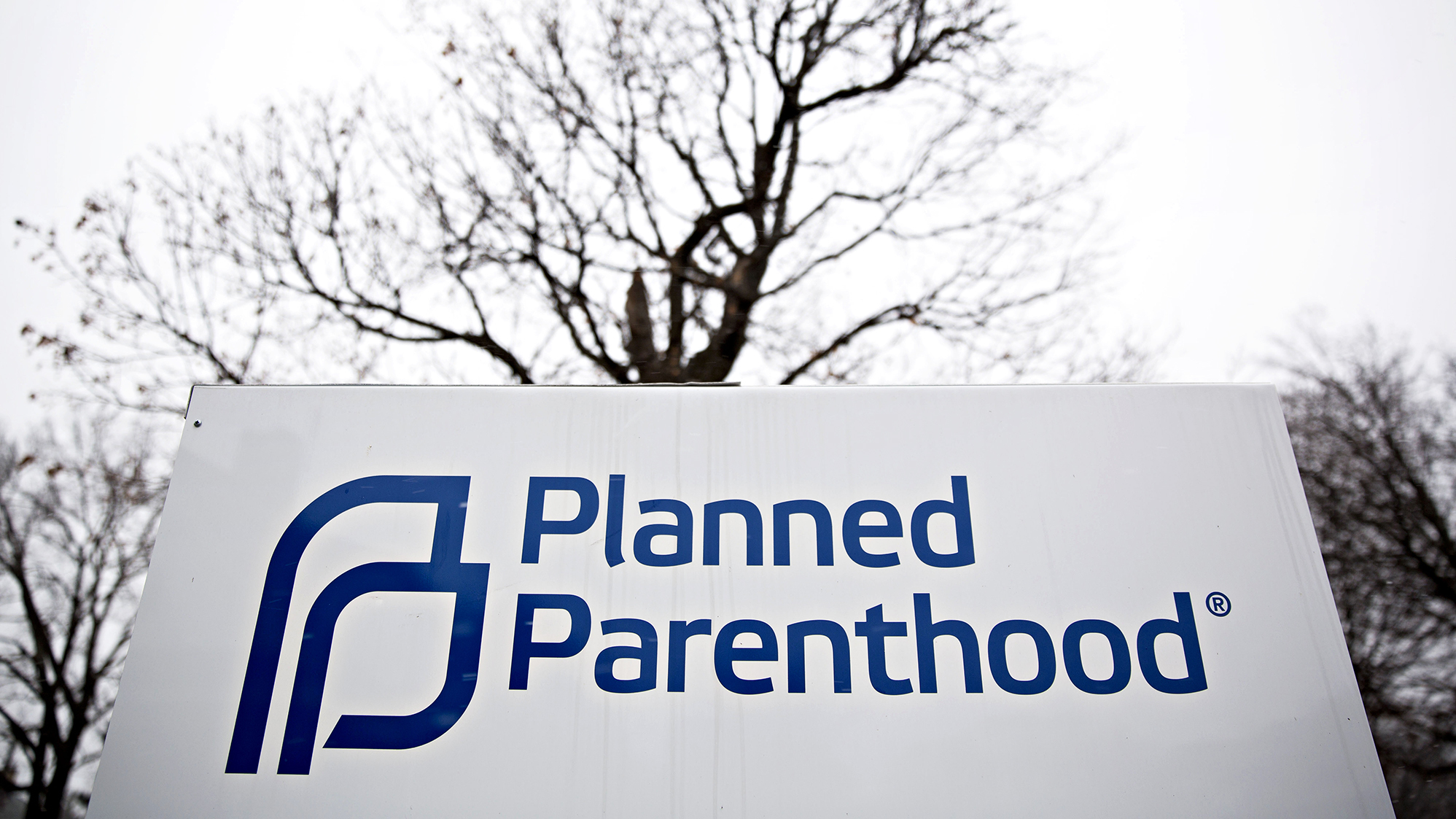 Several Planned Parenthood chapters and other groups involved in prevention of teen pregnancy are suing the administration for halting funding for their programs. (Daniel Acker/Bloomberg/Getty Images)