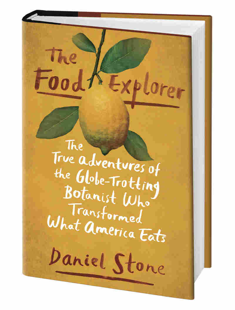 The Food Explorer book