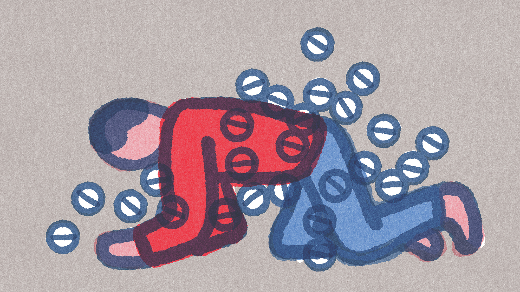  (Lorenzo Gritti for NPR)
