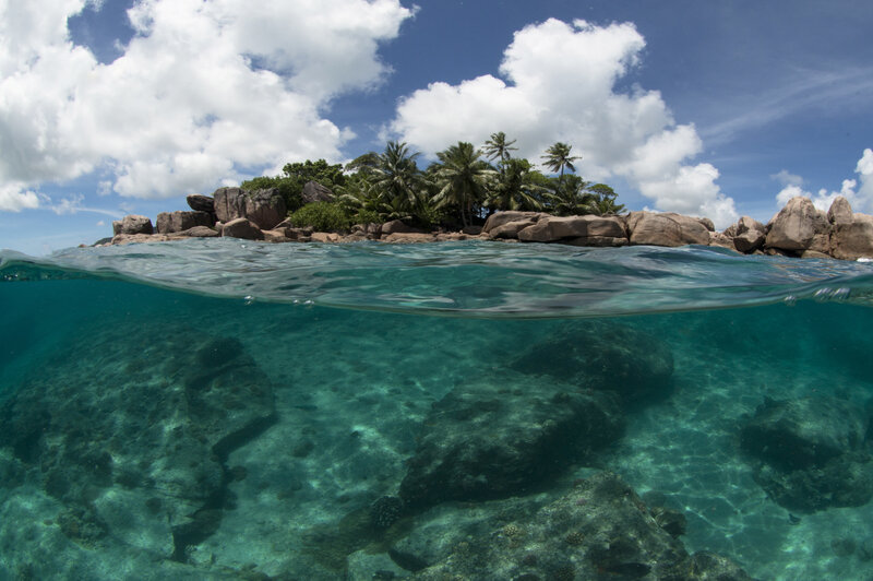 Seychelles finds novel way to swap its debt for marine protections (npr.org)