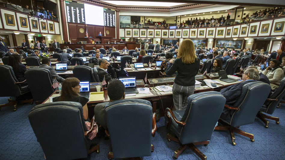 Florida Rep. Kristin Diane Jacobs speaks on the gun safety bill in the House chamber at the state capitol. Victims' families are urging them to pass the law. (Mark Wallheiser/AP)