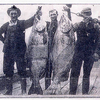 This Is Why You Don't See People-Size Salmon Anymore