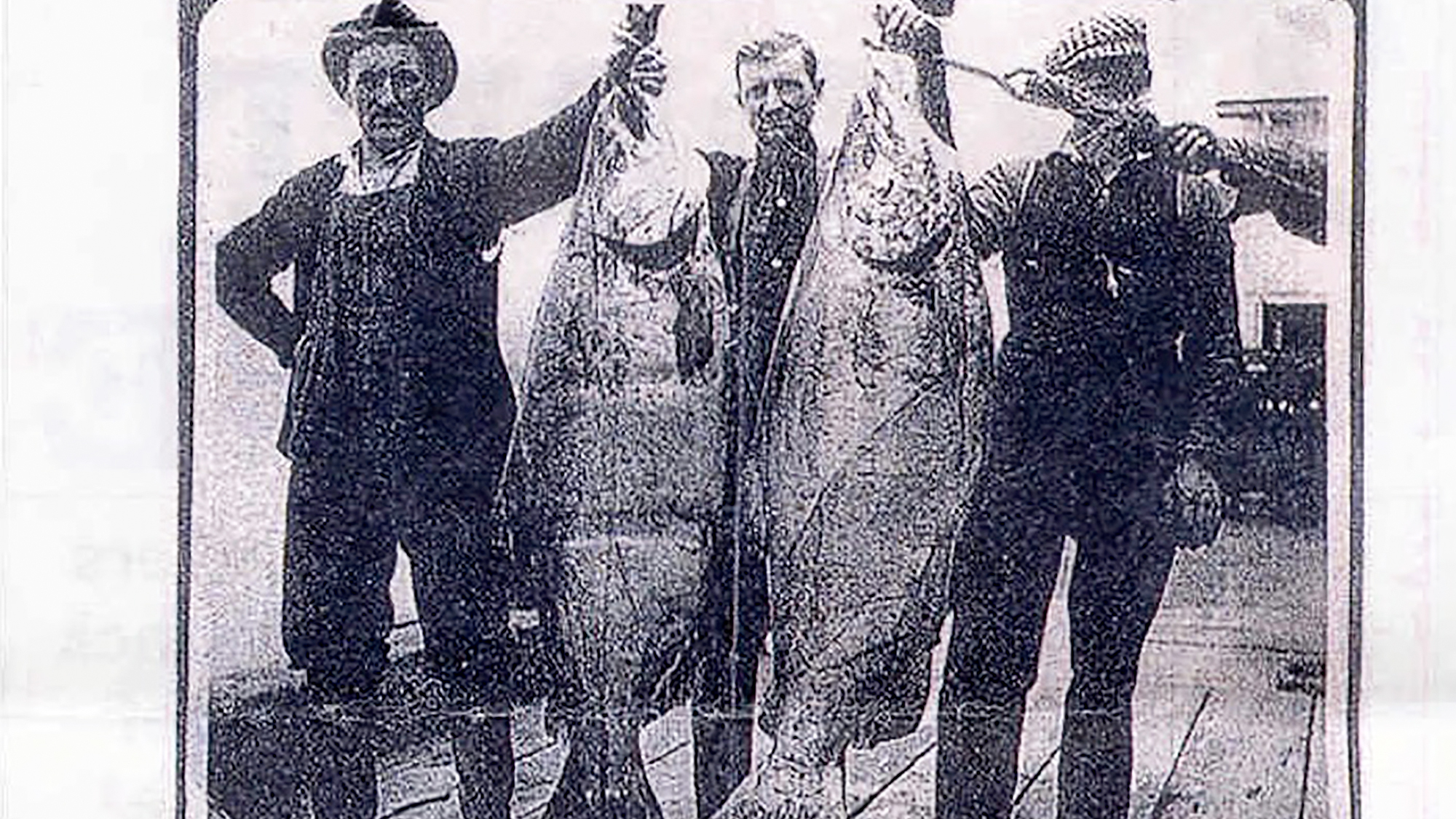 A photo taken in Astoria, Ore., circa 1910. It was stated that the chinook on the left weighed 116 pounds and the one on the right weighed 121 pounds. (WikiMedia Commons)