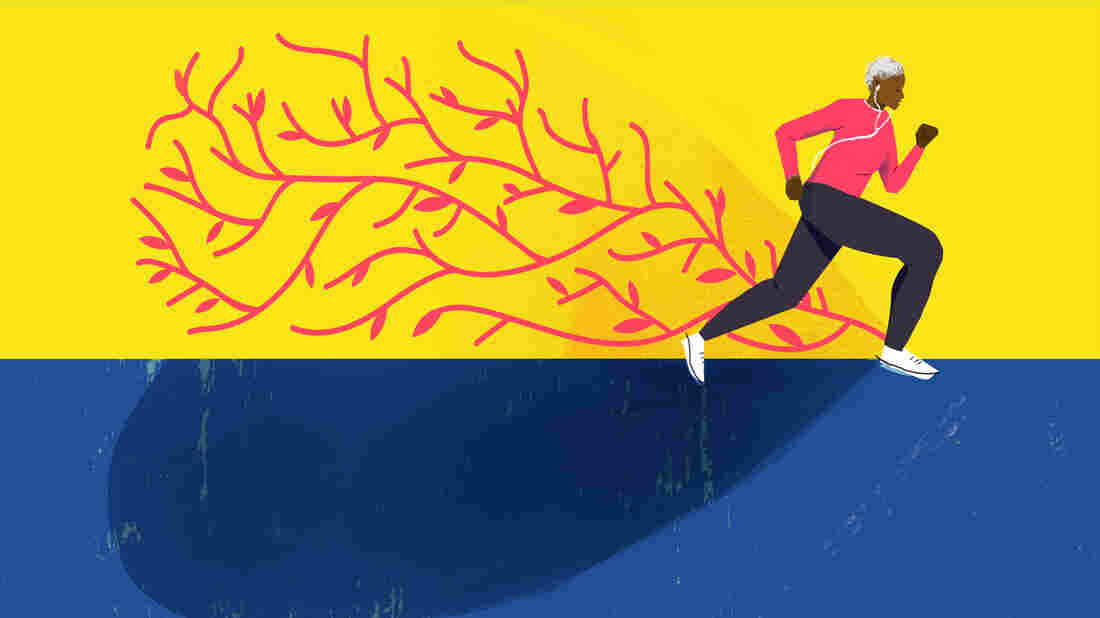 As early as your mid-40s, especially if you're sedentary, your heart muscle can show signs of aging, losing its youthful elasticity and power. But moderately strenuous exercise can change that.