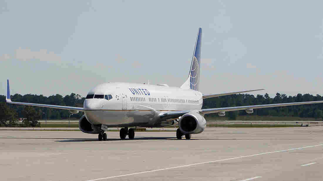 Dog Dies In Overhead Bin On United Flight; Airline Apologizes