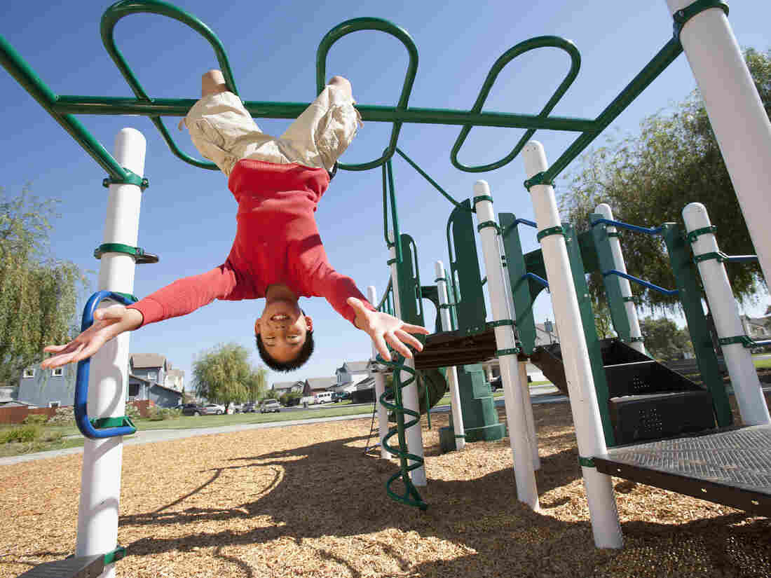 Barbara J. King considers risk on playgrounds from an evolutionary perspective.