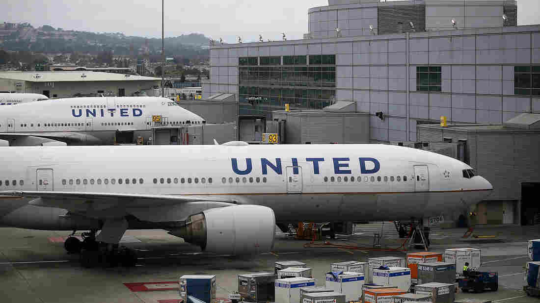 Not In Kansas Anymore: United Airlines Mix-Up Sends German Shepherd To Japan