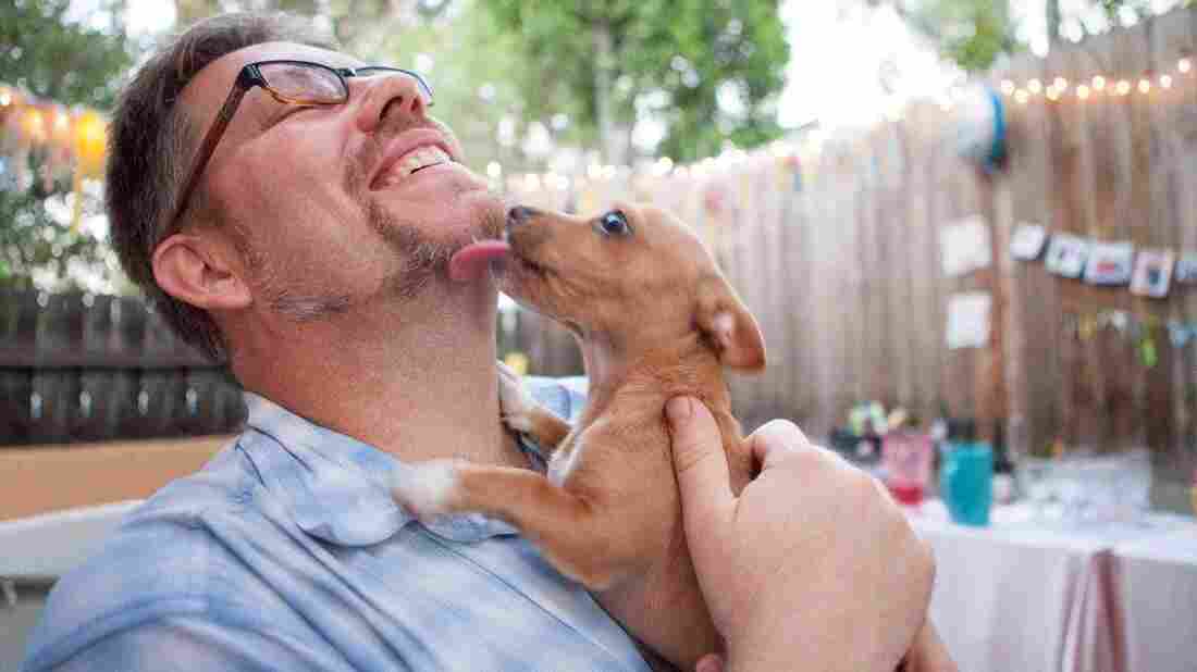 A man laughs as a puppy licks his face.