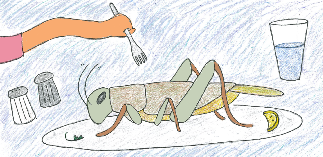 Could you eat a cricket?