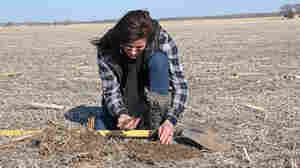 A Grass-Roots Movement For Healthy Soil Spreads Among Farmers