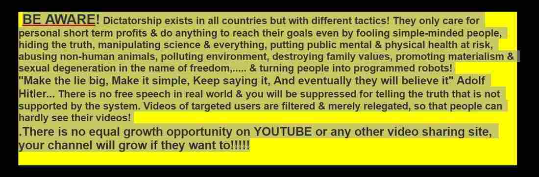 A screenshot of the statement featured on Nasim Najafi Aghdam's apparent website.