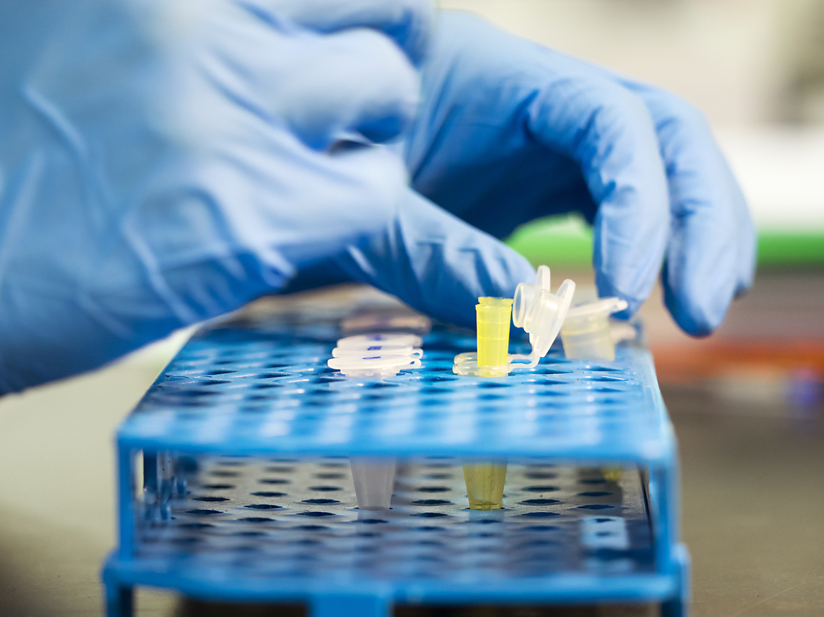 DNA Test Reveals Fertility Doctor Used His Own Sperm To Impregnate Patient The TwoWay NPR