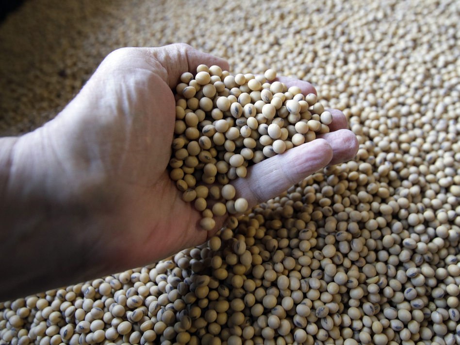 Soybeans ready for shipment and planting at a Kansas farm are one of the products at the center of the trade dispute with China. (Orlin Wagner/AP)