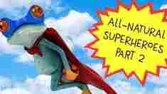 All-Natural Superheroes Part 2