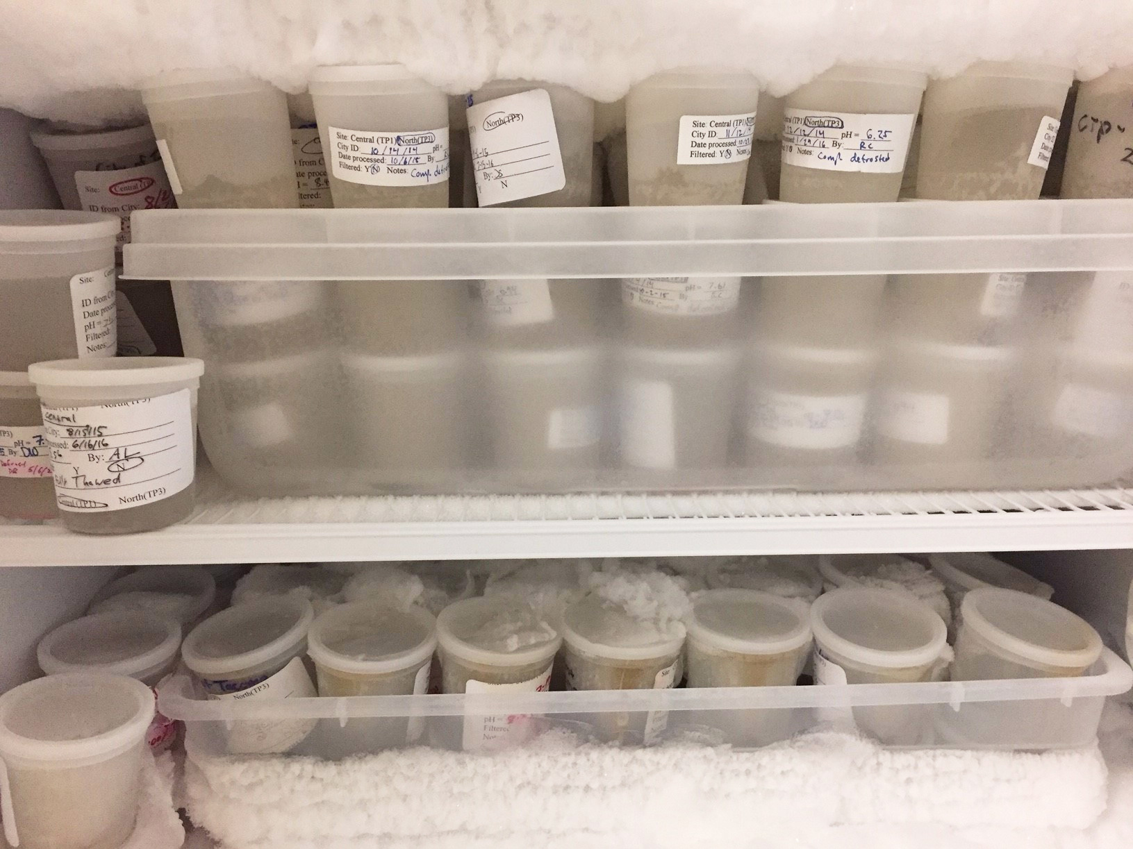 University of Puget Sound chemist Dan Burgard keeps a freezer full of archived samples from two wastewater treatment plants in western Washington in case he needs to rerun the samples or analyze a specific drug he didn't test for the first time. (Dan Burgard)
