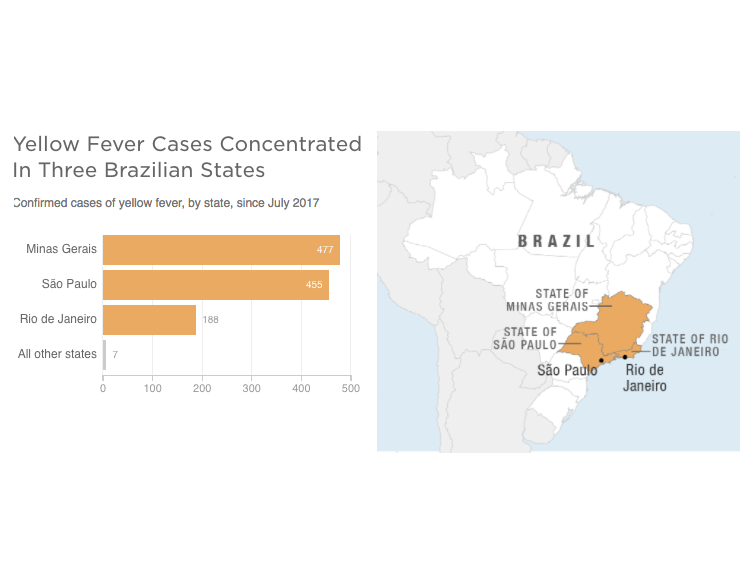 Brazil Battles Its Biggest Yellow Fever Outbreak In Decades : Goats And  Soda : Npr