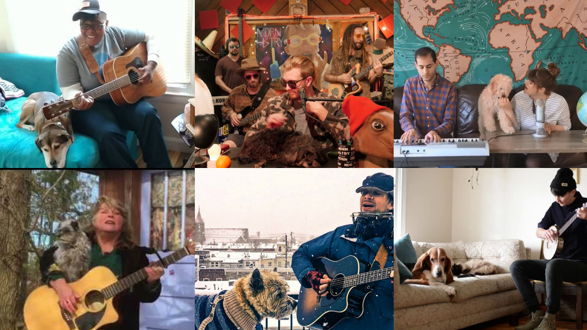 Clockwise from top left: Crys Matthews; MDRN HSTRY; Zmoos & Salous; Lo Pony; Chris Diller; Jeanie Carlin (YouTube)