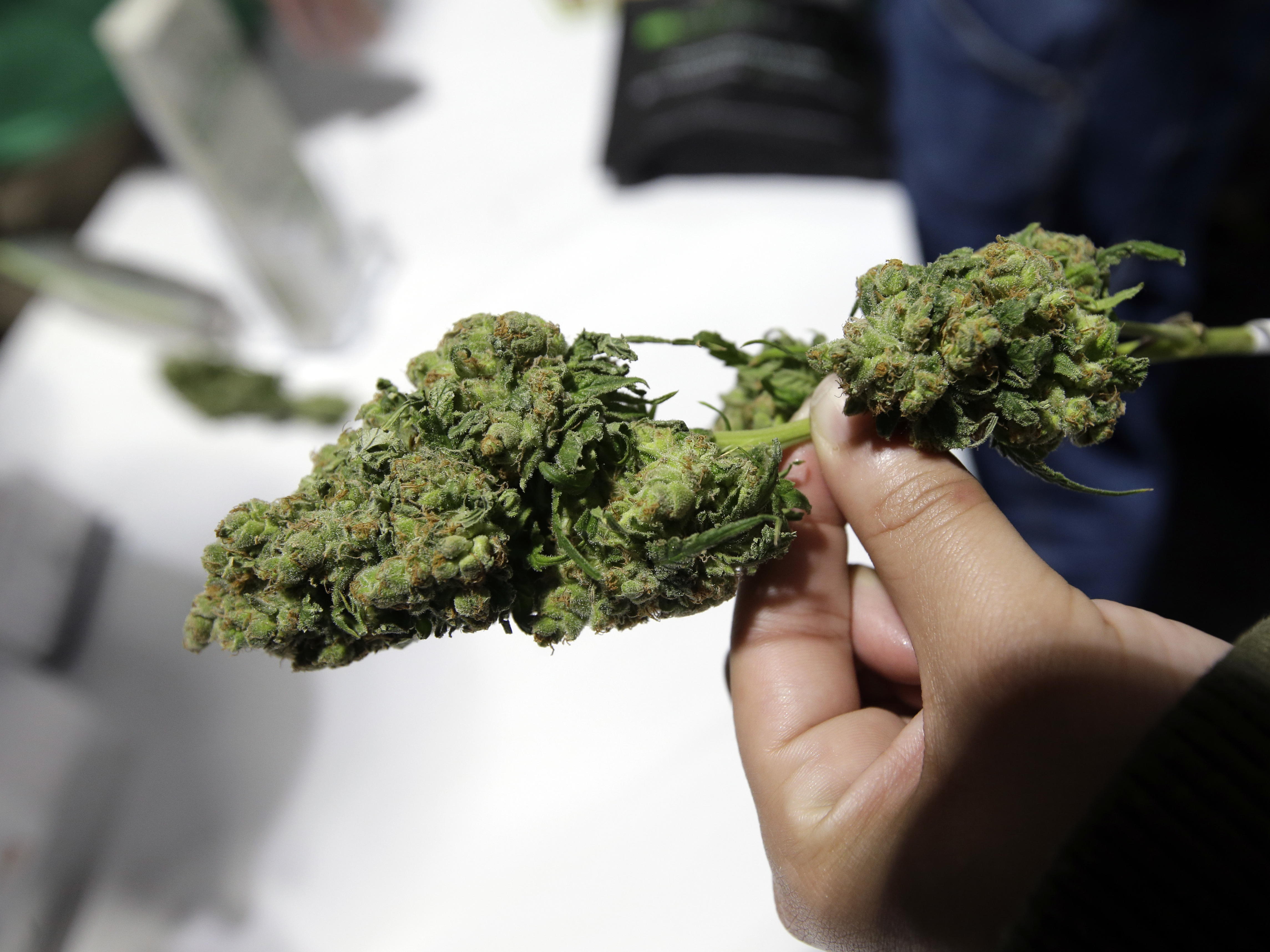 Activists, Black-owned weed businesses say N.J. can do more to ensure social equity - Vimarsana News