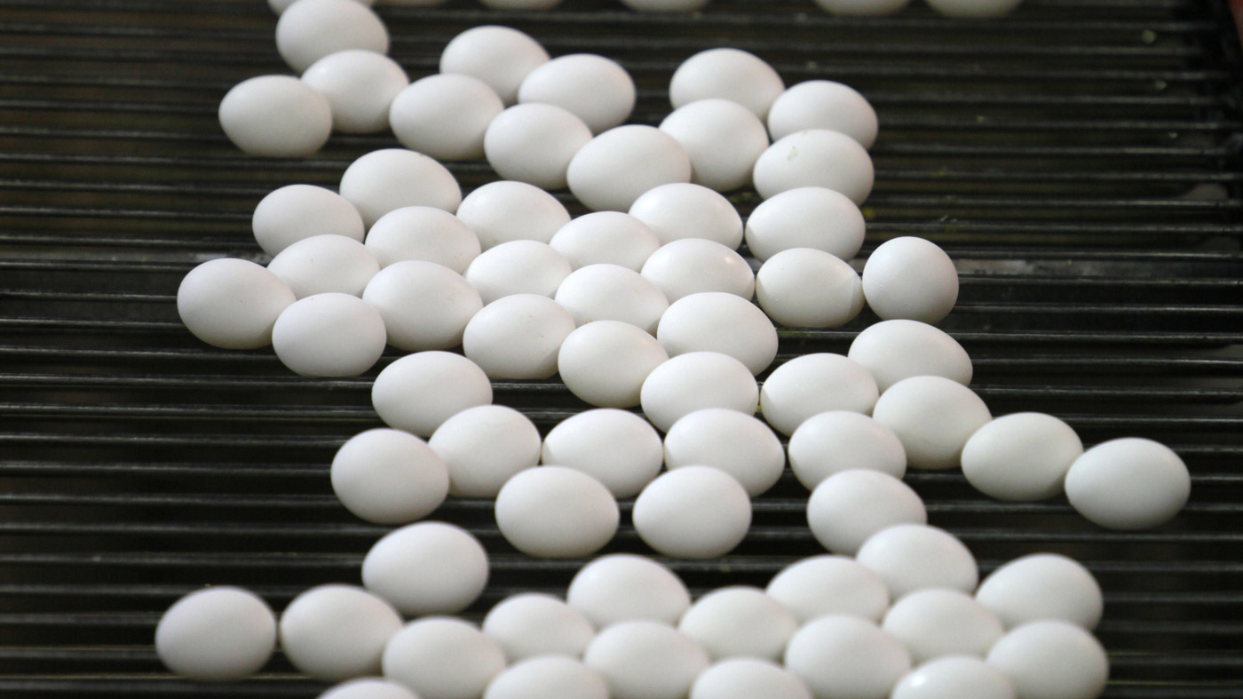 206 Million Eggs Are Recalled Over Salmonella Fears