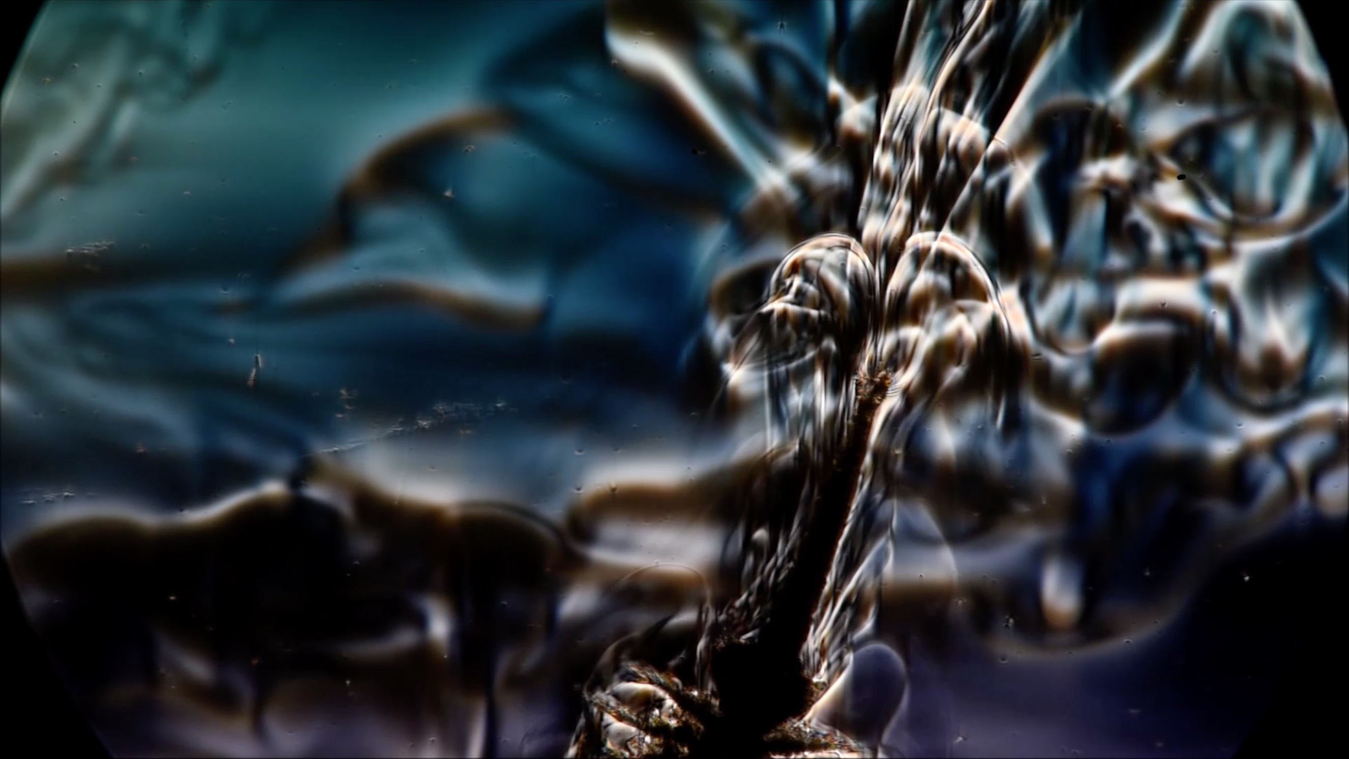 Swarms Of Tiny Sea Creatures Are Powerful Enough To Mix Oceans, Study Finds