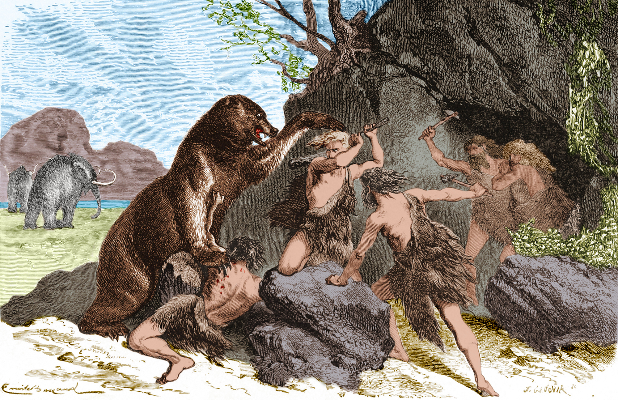 new-study-says-ancient-humans-hunted-big-mammals-to-extinction-ncpr-news