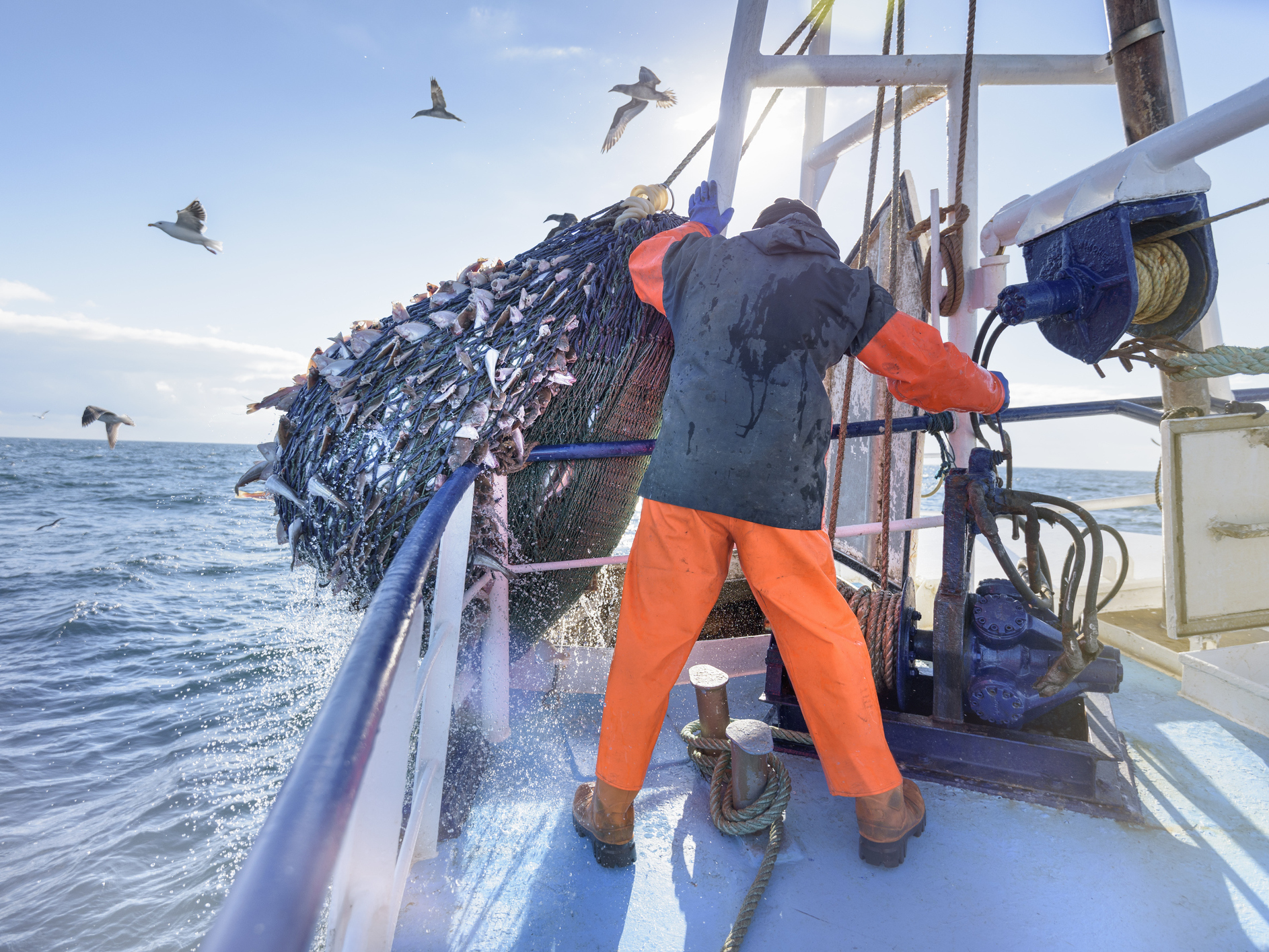 Deep-sea trawling can include bycatch and harm coral, so some activists want it banned. (Getty Images/Cultura RF)