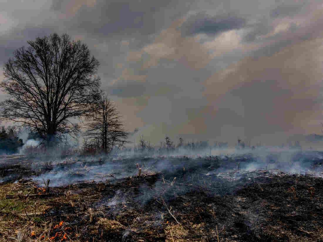 National Park Service firefighters methodically ignited approximately 60 acres of meadow and brush in the Brawner Farm area of the Manassas National Battlefield Park.