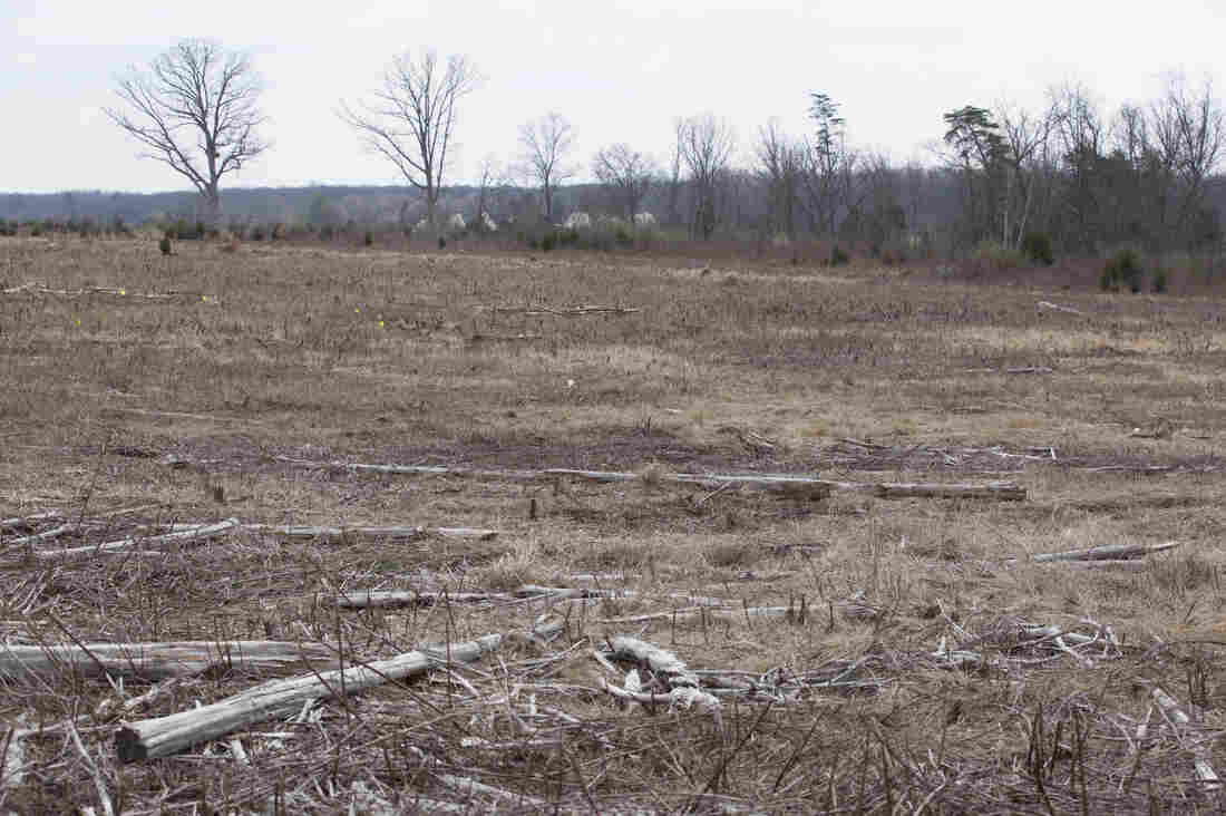 The Manassas National Battlefield