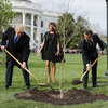 Macron's Gift Tree Gone From White House Lawn. Ambassador Says It's In Quarantine