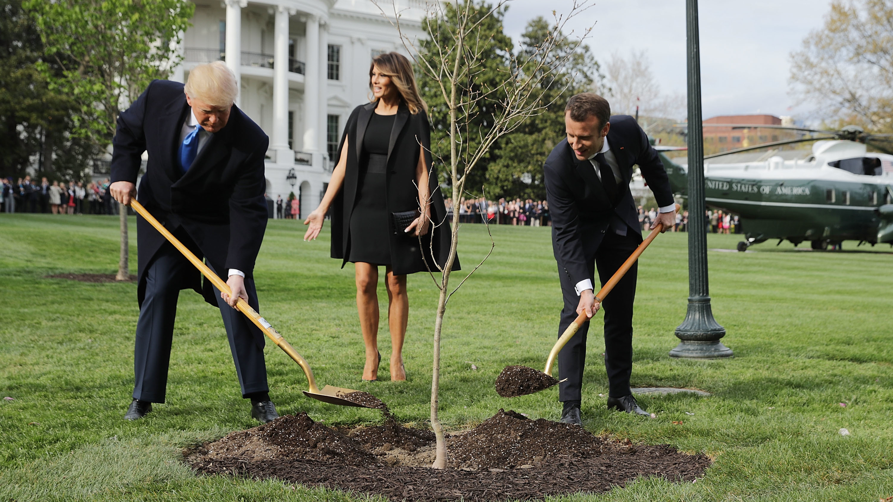 President Trump and French President Emmanuel Macron joined in planting a symbolic oak sapling on the South Lawn of the White House last week. By the weekend, it was gone from the spot. (Getty Images)