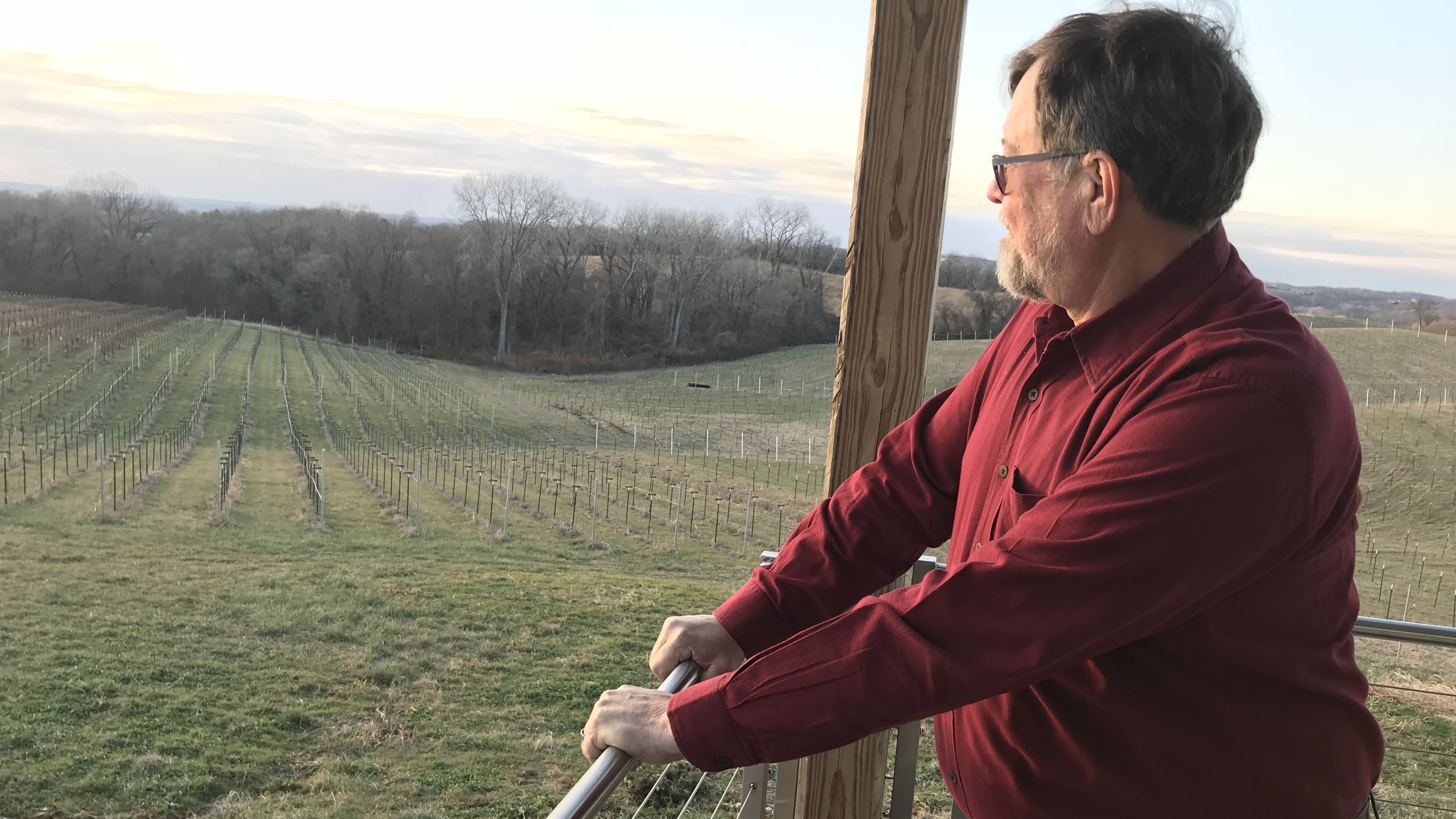 Jerry Eisterhold runs Vox Vineyards in Weston, Mo. He