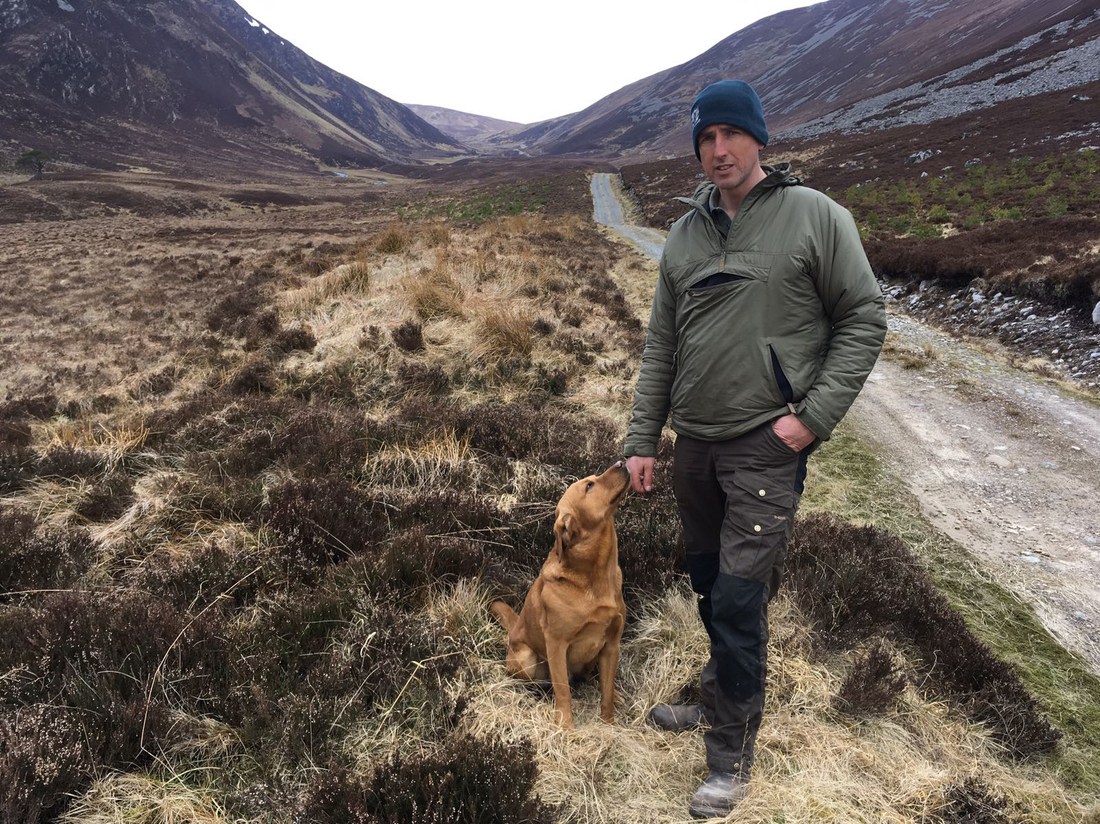 Landowner Aims To Bring Wolves Back To Scotland, Centuries After They
