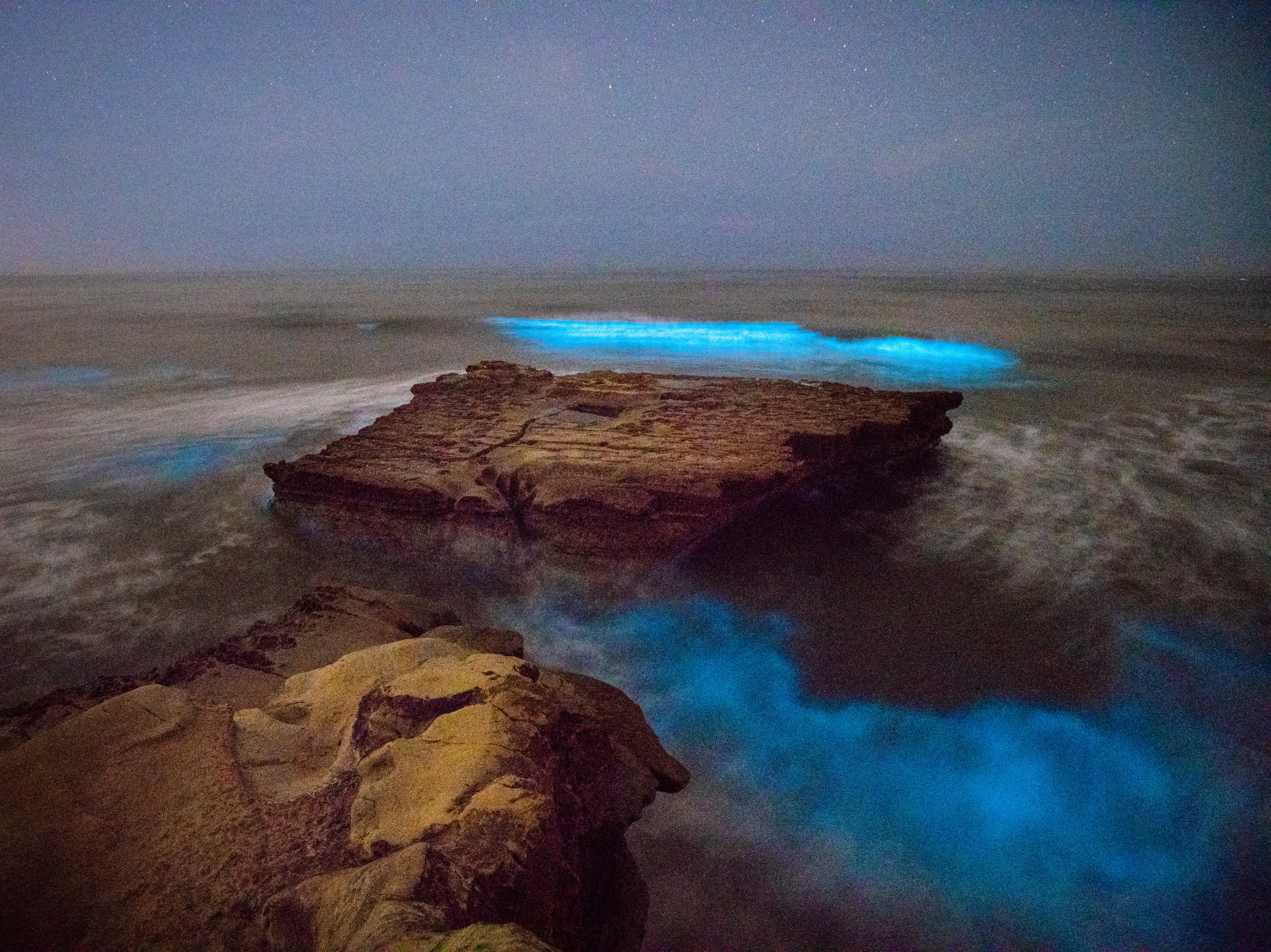 Bioluminescent waves crash against rocks at Torrey Pines State Beach in San Diego on Monday night. (Stephen Bay)