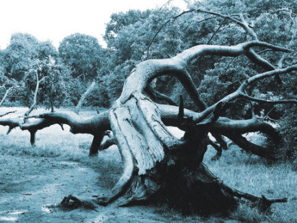 'A Shout in the Ruins' probes the lasting infections of war and slavery