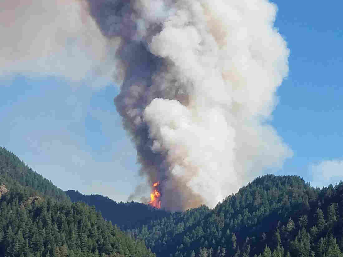 Judge Orders Boy Who Started Oregon Wildfire To Pay 36 Million In