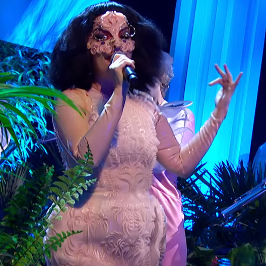 Björk performing with flutes and natural elements during her first TV appearance in six years.