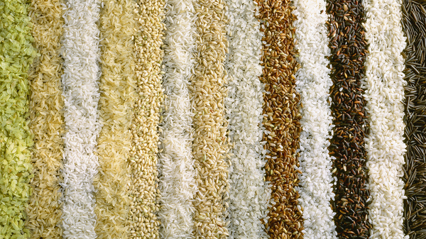 Scientists find that rice grown under elevated carbon conditions loses substantial amounts of protein, zinc, iron and B vitamins, depending on the variety.