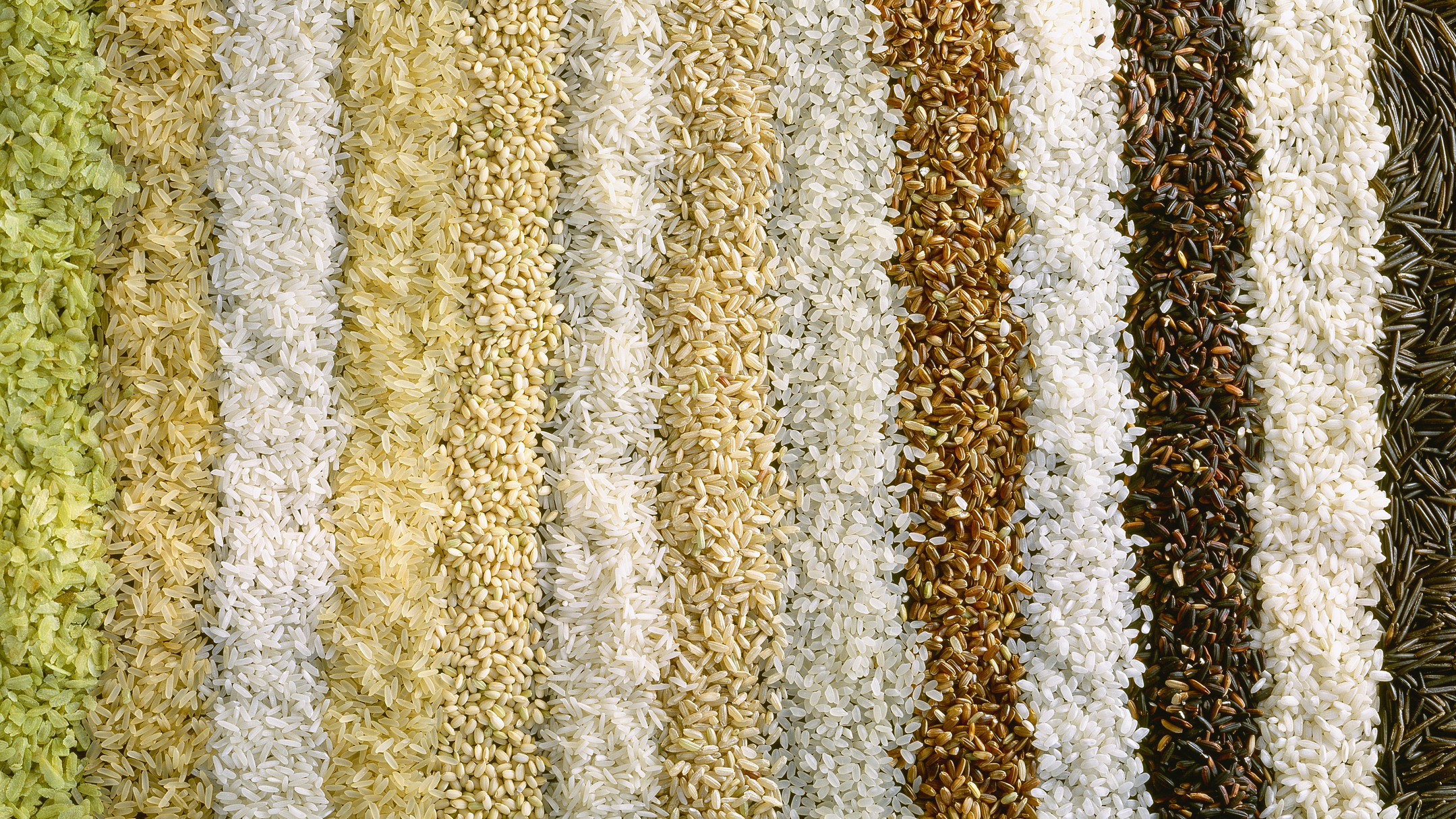 Scientists find that rice grown under elevated carbon conditions loses substantial amounts of protein, zinc, iron and B vitamins, depending on the variety. (Getty Images/Passage)